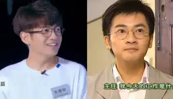 厉害了明星的诞生竟然撞脸半个娱乐圈

