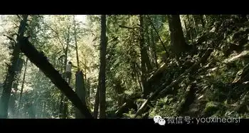 电影荒野生存intothewild男主角在流浪旅途中去了哪些地方,做过什么事,读了哪些书