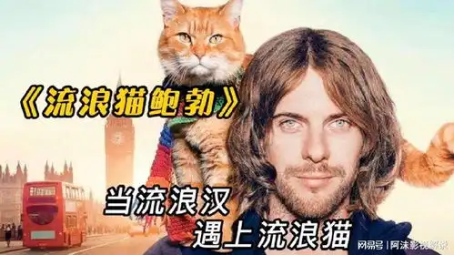 流浪猫鲍勃街头流浪汉救了一只流浪猫,却因此改变了一生