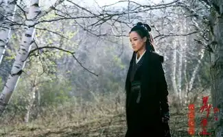 网友为刺客聂隐娘作沙画片方回应口碑争议7966037

