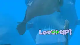 超帅机械食人鱼被巨齿鲨一口秒了
