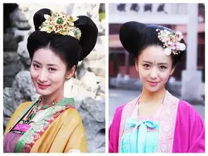 唐宫美人天下,美女明星有谁