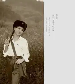 那些年我们一起追求的女孩