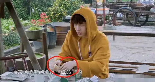 难怪黄磊要撮合张艺兴和杨紫,看张艺兴为她做的事,网友官宣吧