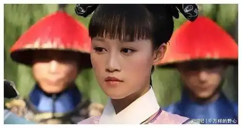 中外对话从甄嬛传看国剧为何火到海外