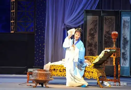 段江丽林黛玉的年龄问题