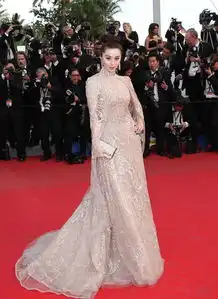 组图主战场这些年戛纳红毯上的范冰冰