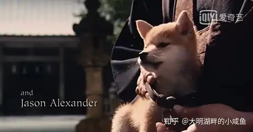 对单身狗的终极嘲讽是什么