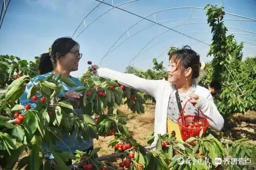 乐陵清洋湖打造闭环式生态种养循环新模式,成乡村旅游打卡地
