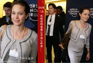 皮特朱莉10年修正果法国完婚手机新浪网
