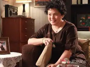 儿女情更长开播张芝华奚美娟15年后再续缘