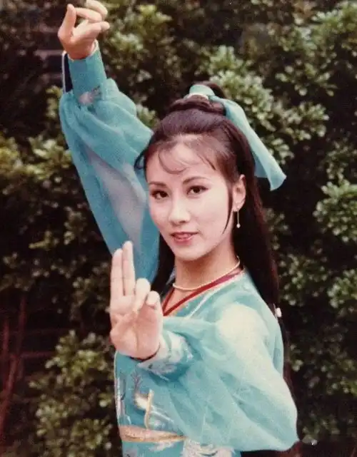 锦绣南歌女主角难以相融的多面造型剧说服饰史
