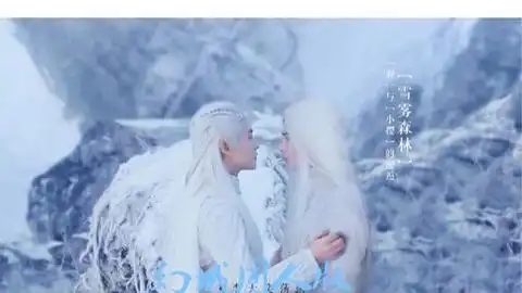 水仙夙愿之幻城同人版剧情流释帝罹天烬释殿
