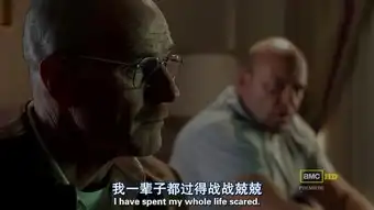 绝命毒师化茧成蝶浴火重生
