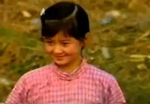 从华妃娘娘到樊胜美,演技与颜值齐飞的蒋欣为什么却一直没有爆红