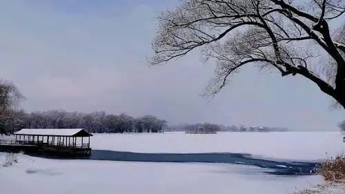 2020年第一场雪后的颐和园,在镜头里幻化为朦胧的水墨画卷

