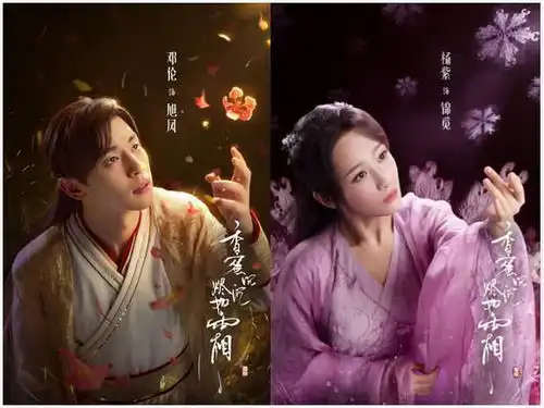 电视剧大赏排行,香蜜和延禧攻略都输给了这部剧