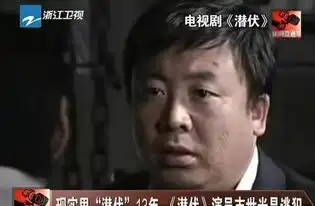 他因潜伏走红,却是逃亡13年犯罪嫌疑人,因演技太好被认出
