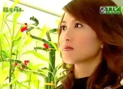 微笑百事达播出16年,有人怀孕,有人翻红,张栋梁变化最大