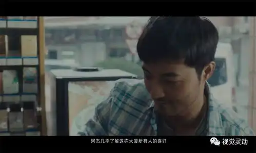 我们都是一样的,一样的努力生活
