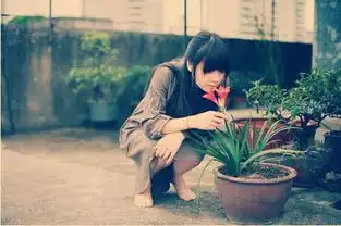 云极道长她们敢来,就离婚,我心里这道坎过不去
