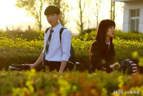 匆匆那年此情可待成追忆,只是当时已惘然