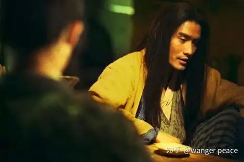 你从王家卫的东邪西毒里看到了什么