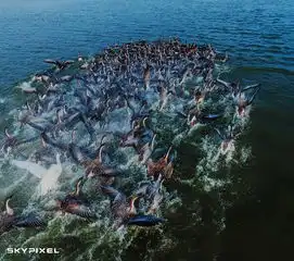 豆瓣相册2016年天空之城摄影大赛作品精选第九期