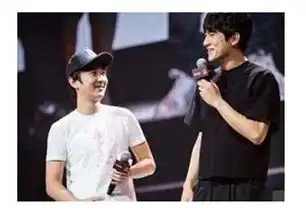 为什么万达捧林更新