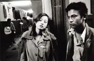 娄烨的25年,风中有朵雨做的云