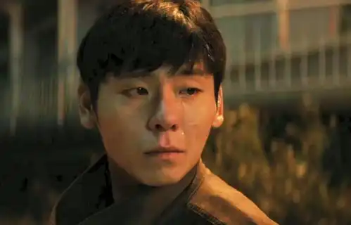 央视首播我的阿勒泰来袭,马伊琍于适领衔,这剧熬夜也得看
