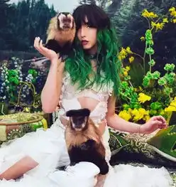 一组创意摄影,竟然挽救了黑市里动物们的生命
