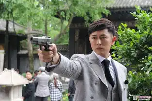 烽火佳人和乱世佳人收视率哪个高
