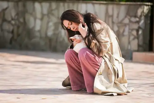 孝料满满全新哈弗h6暖心入驻最美的时光
