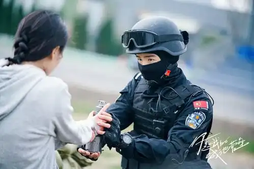 开局8.1分的你是我的城池营垒能否超越太阳的后裔