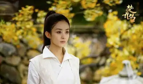 赵丽颖再破纪录,女主作品全网播放量破1800亿,5次登顶年度冠军
