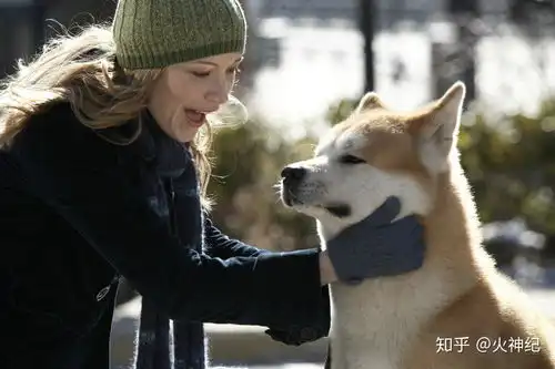 忠犬八公关于守望的悲切故事