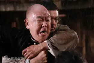 武侠剧照金城武王羽搏斗