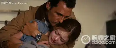 赏表看电影之星际穿越与汉米尔顿
