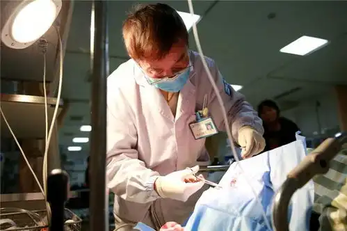 这是余杭版急诊科医生,坚守只为患者少些病痛