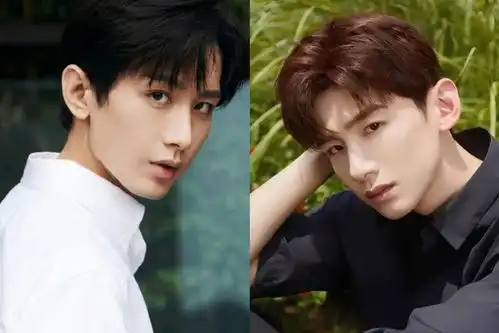 明星撞脸白敬亭成毅,赵露思刘亦菲,白鹿刘诗诗,你认为哪一对最像孪生
