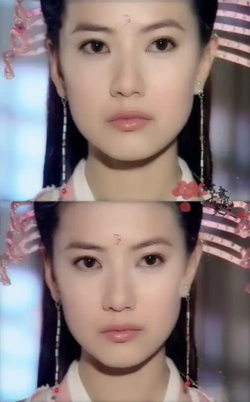 倚天屠龙记的贾静雯比不过组宠高圆圆