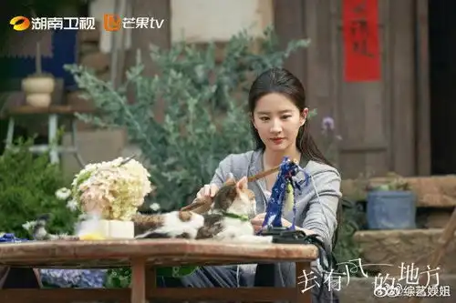 许红豆人生金句喜欢是有重量的
