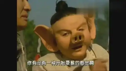 春光灿烂猪八戒猪八戒和孙悟比跳远,猪八戒出了绝招
