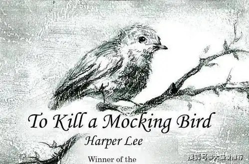 杀死一只知更鸟,后悔没有在更早的时候读过它