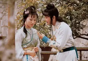 87红楼梦有女演员想反串贾宝玉,王扶林导演的回应令人称赞
