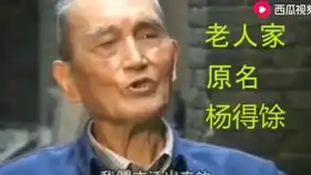 八佰最后一人杨养正生前采访录像
