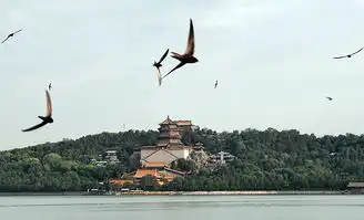 颐和园雨燕迎体检小志愿者科普过六一组图