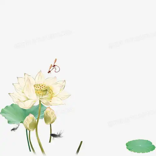 卡通手绘矢量荷花荷叶png图片素材免费下载png格式10001000像素熊猫办公
