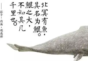 都说大鱼海棠烂,可你知道主角名字的来历吗
